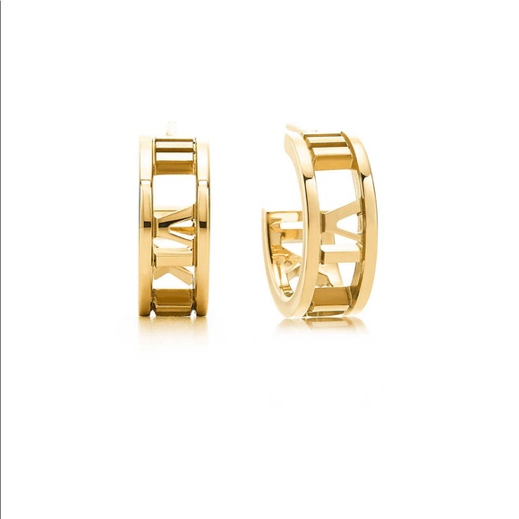 I'm looking for this earrings to buy. - Picture 1 of 2